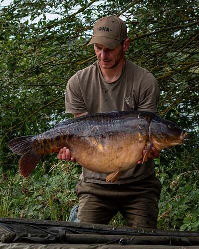 john kendall pettitts lake 6