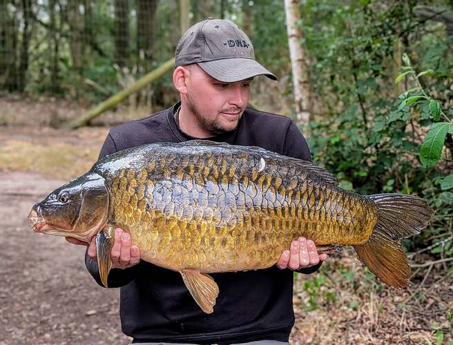 sam bingham brace of 30s (3)