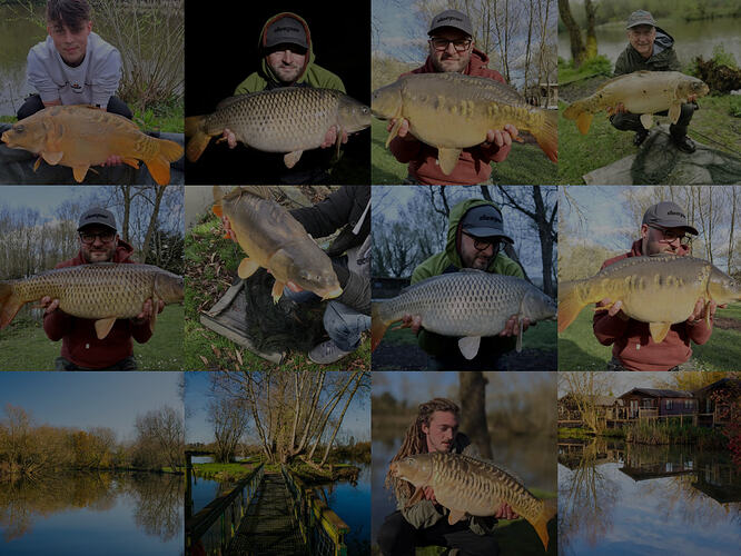 Fairwood lakes captures of carp