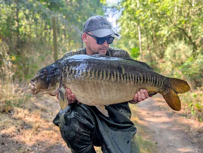 sam bingham brace of 30s (4)