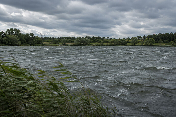 do-carp-follow-the-wind
