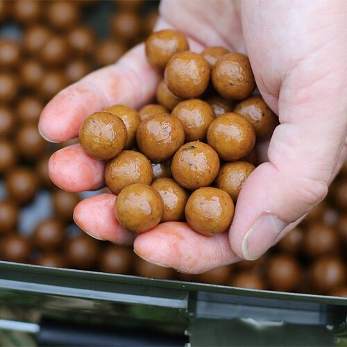 Making boilies at home is it still worth doing