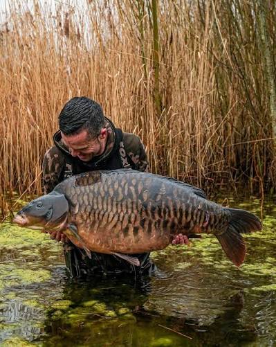 Are we becoming too obsessed with catching bigger carp