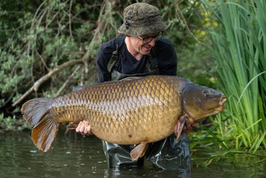 Neil Spooner Waterside Common